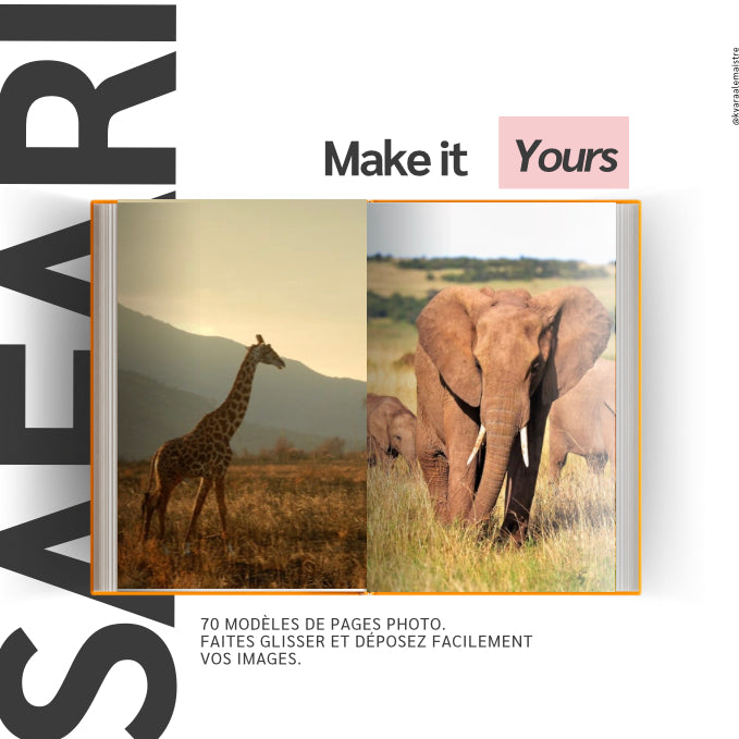 5 Templates Safari 🐆