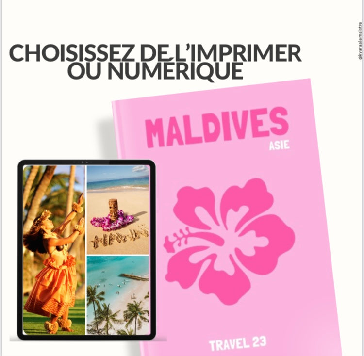 22 Templates Assouline Book