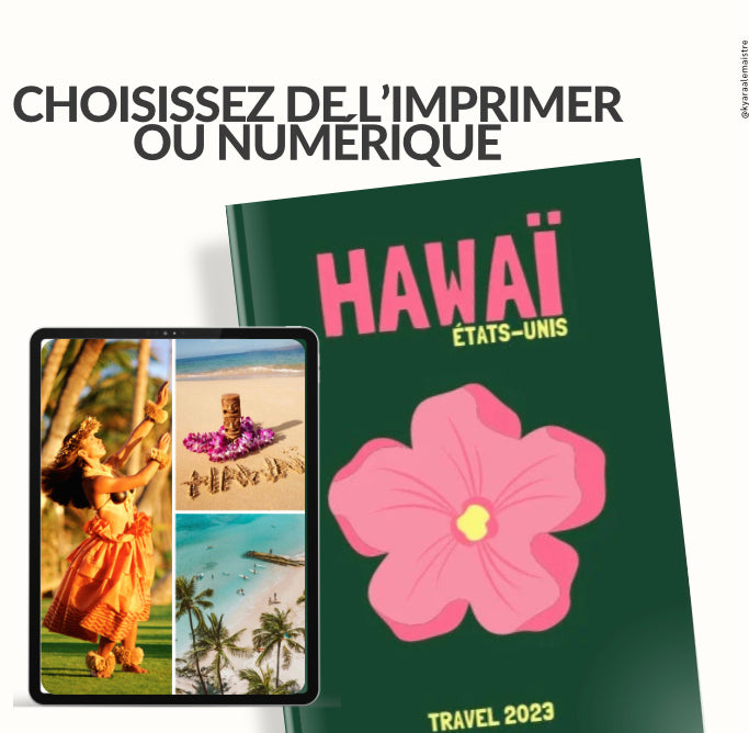 22 Templates Assouline Book
