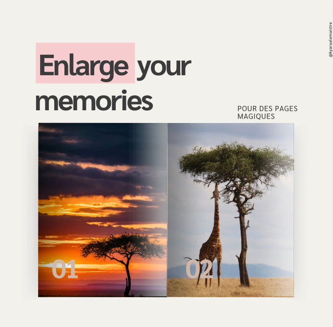 5 Templates Safari 🐆